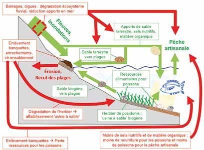 02-boudouresque_inondations_imageinternet.jpg