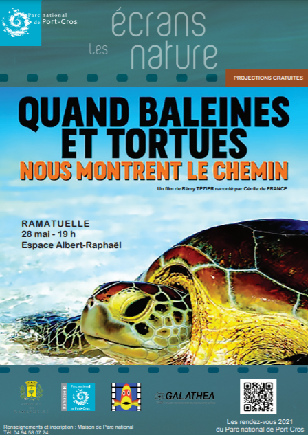 affiche_tortues_et_baleine.png