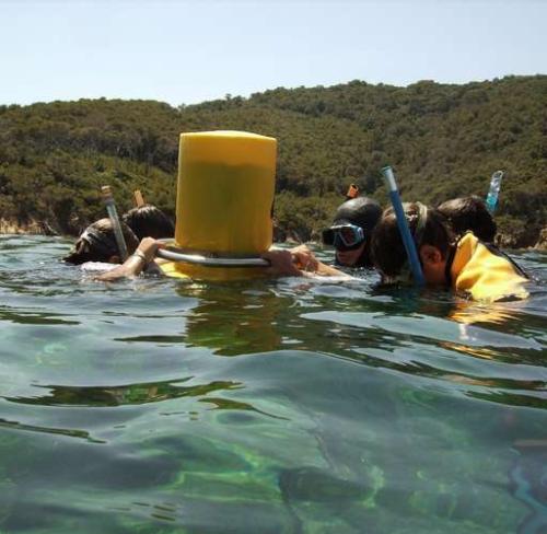 ecotourisme-sur-le-littoral-journee-de-bilan-pour-le-parc-national-de-port-cros-et-agricampus-var_format_512x500.jpg