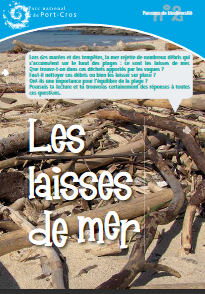 laisses_de_mer.png