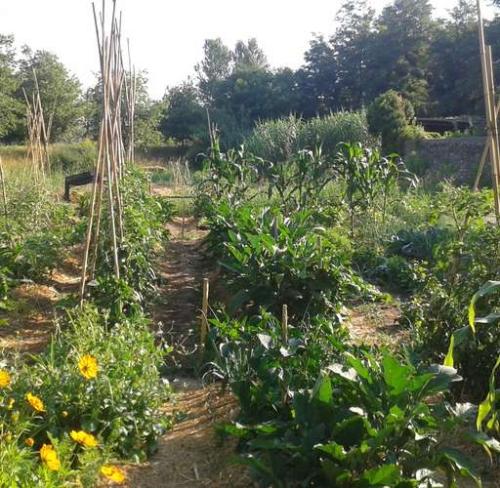 le-parc-national-de-port-cros-inaugure-les-jardins-potagers-familliaux-sur-l-ile-de-porquerolles_format_512x500.jpg