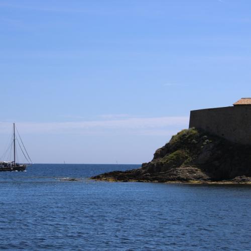 Sons cuivrés et chants de cétacés : célébrons les dauphins au Fort du Pradeau