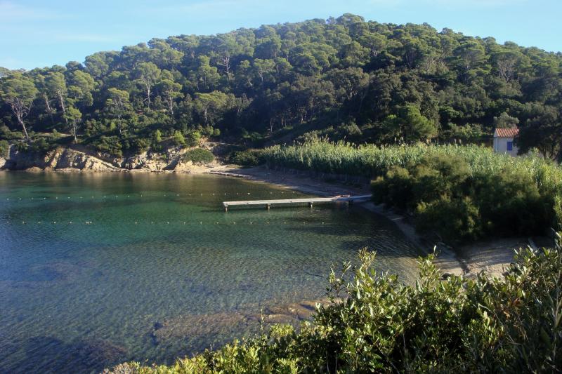 plage-de-port-man-port-cros.jpg