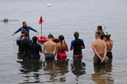 Découverte du nouveau sentier sous-marin de la Palud par les étudiants du BTS "Gestion et Protection de la Nature - Découverte du nouveau sentier sous-marin de la Palud par les étudiants du BTS "Gestion et Protection de la Nature