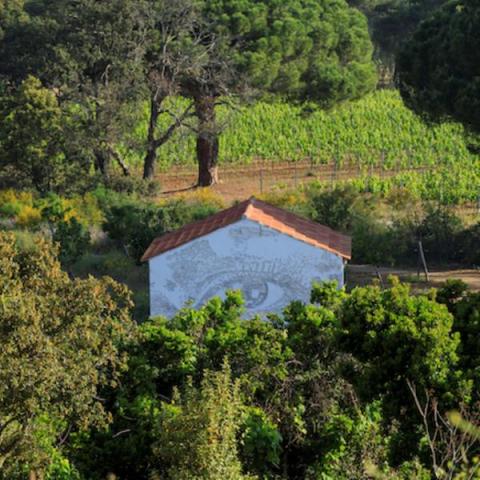 Visite nature Chercheurs en herbe