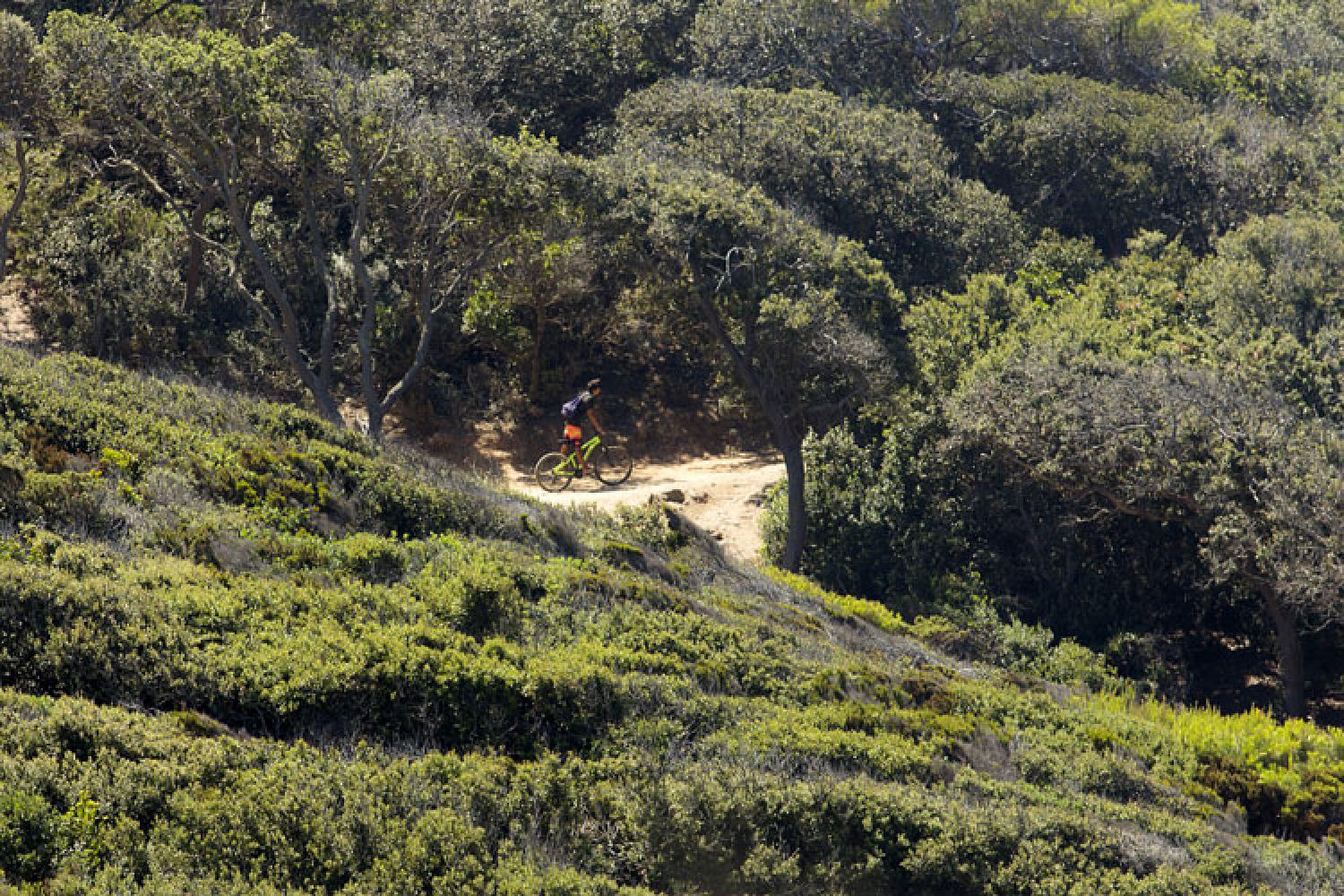 cyclistes-porquerolles-dos-santos.jpg