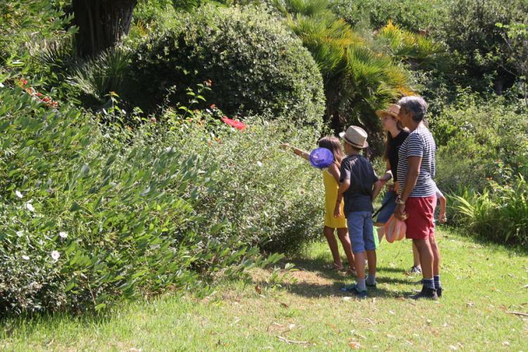 Domaine du Rayol - Activité enfant " Les petites bêtes de nos jardins"