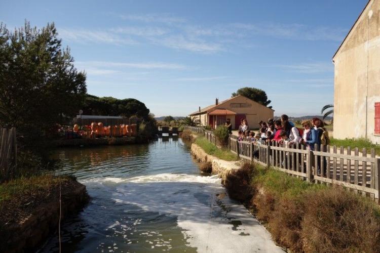 visite guidée au pays du sel salin des pesquiers enfants ludique - visite guidée au pays du sel salin des pesquiers enfants ludique