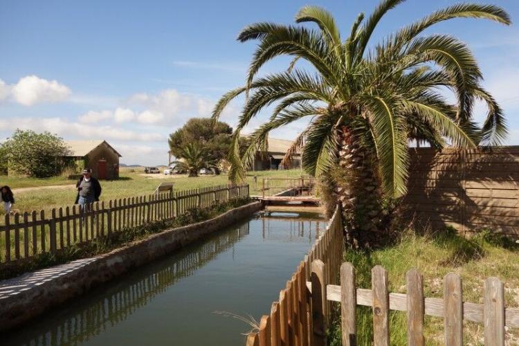 visite guidée au pays du sel salin des pesquiers enfants ludique - visite guidée au pays du sel salin des pesquiers enfants ludique