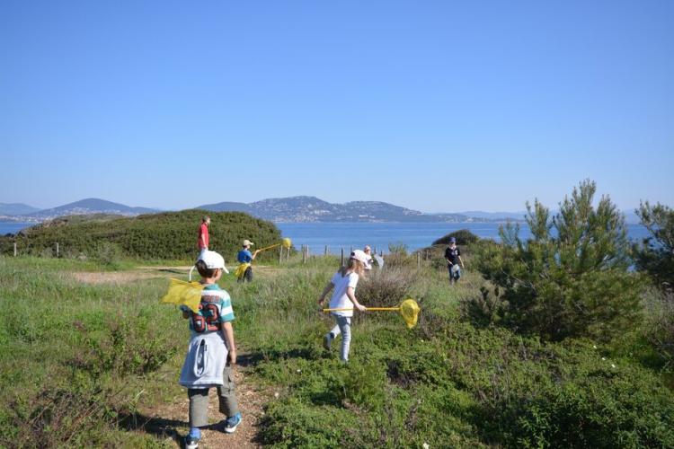 Visite nature Fernando Sandoval petit parcours dans le maquis presqu'île de Giens