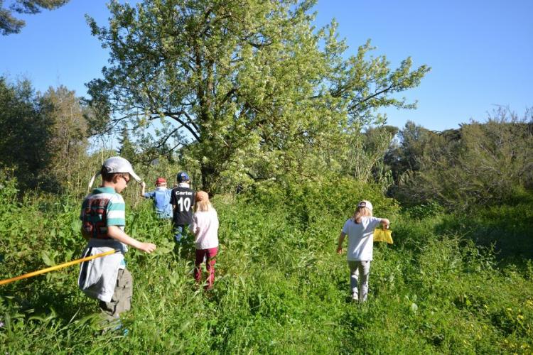 Visite nature Fernando Sandoval petit parcours dans le maquis presqu'île de Giens