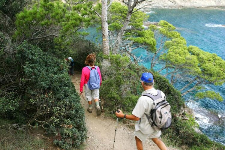 Porquerolles hors des sentiers battus - Porquerolles hors des sentiers battus fernando sandoval