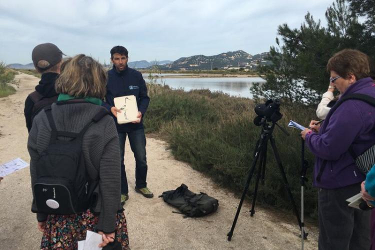 lpo observation des oiseaux visites salin des pesquiers