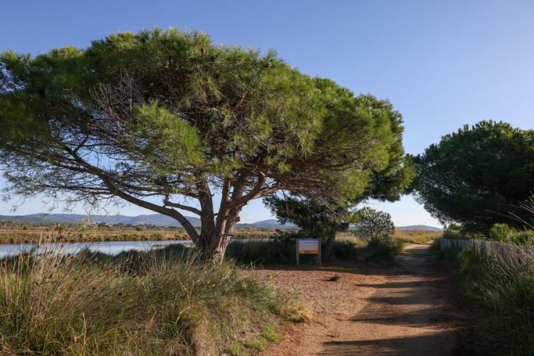 Les vieux Salins d'Hyères - Balade naturaliste dans les vieux Salins d'Hyères  avec vincent Blondel