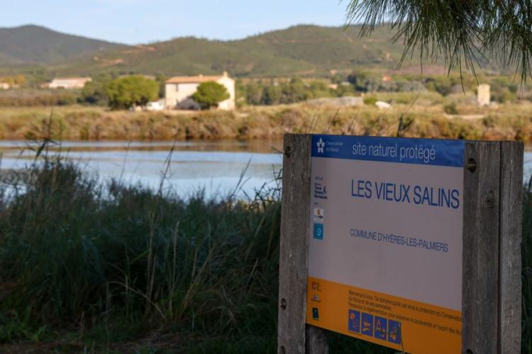 Les vieux Salins d'Hyères - Balade naturaliste dans les vieux Salins d'Hyères  avec vincent Blondel