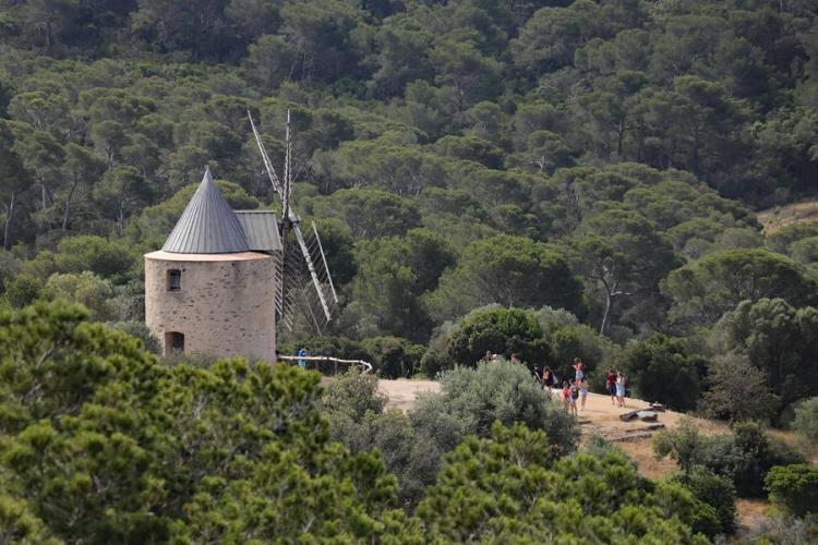 Moulin du Bonheur - Moulin du Bonheur