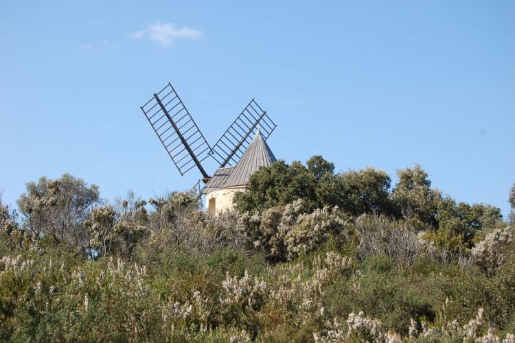 Le Moulin du bonheur à Porquerolles - Le Moulin du bonheur à Porquerolles